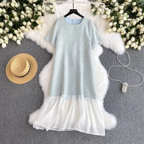 Delicate Mesh Hem Patchwork Dress