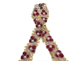 Maroon Golden Thread and Stone Work Embroidered Border