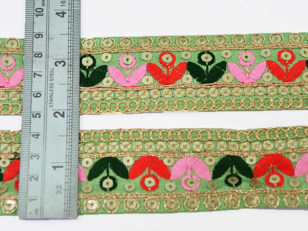 Multicolor Thread Embroidered Border