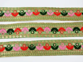 Multicolor Thread Embroidered Border