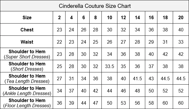 Pearl Beaded Floral Glitter Tulle Party Dress by Cinderella Couture USA AS9022