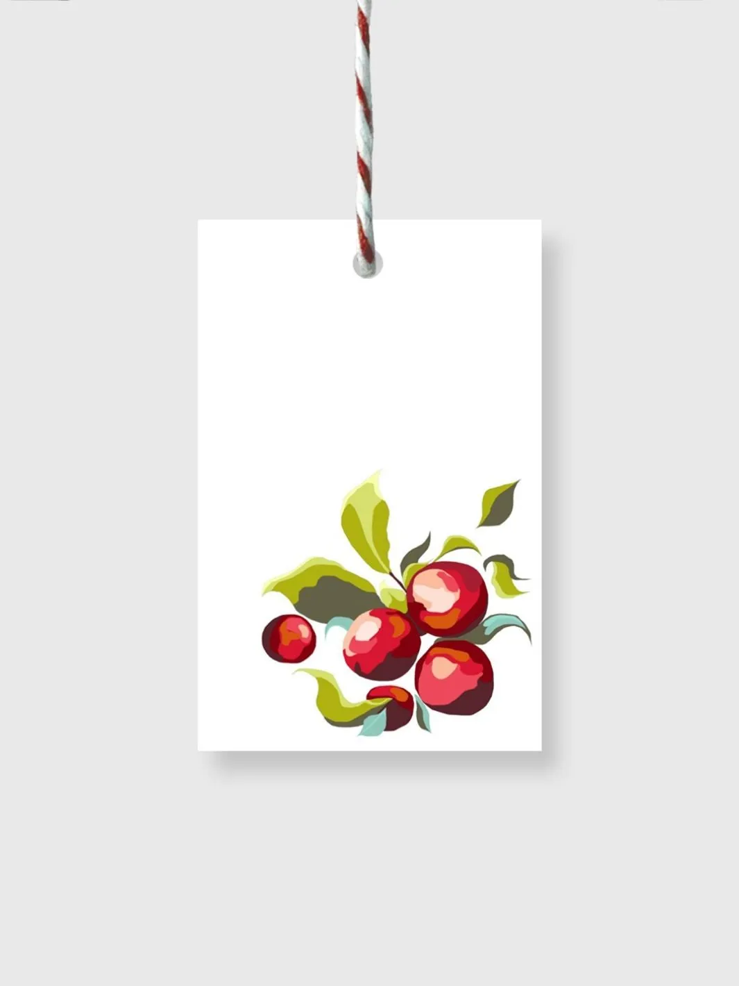 Punnet of Plums swing gift tags
